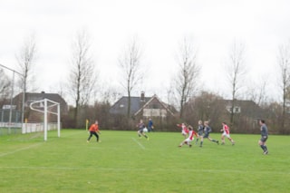 Vesdo D1