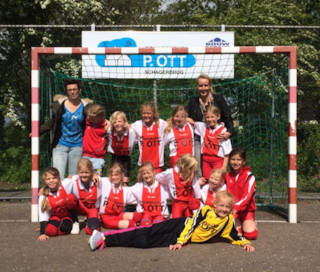 2015-05-30 HVS F1