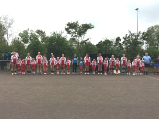 2015-05-31 HVS Ds1 - F1(2)